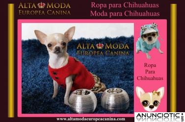 Ropa para Chihuahuas, moda canina para perros chihuahua