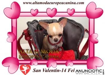 Moda Canina, Accesorios Caninos especial San Valentin