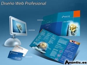 DISEÑO PROFESIONAL DE PÁGINAS WEB