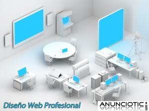 DISEÑO PROFESIONAL DE PÁGINAS WEB