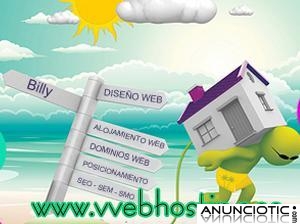 DISEÑO PROFESIONAL DE PÁGINAS WEB