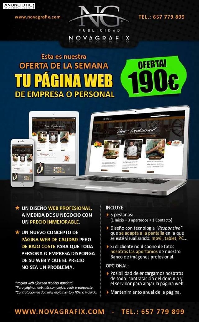 Diseño pagina web