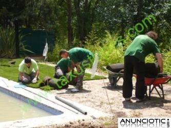 Tepecenter. Rollos de cesped, pasto alfombra y zacate de sedum o sedums  en tepe