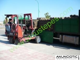 Tepecenter. Rollos de cesped, pasto alfombra y zacate de sedum o sedums  en tepe