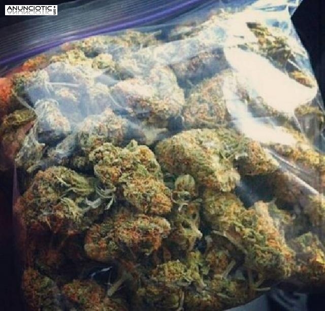 IM A MEDICAL MARIJUANA GROWER AND WHOLESALE SUPPLIER. I DO LOTS OFTel: (75