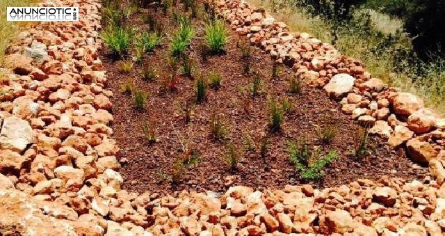 Construccion de lagunas naturales en Madrid