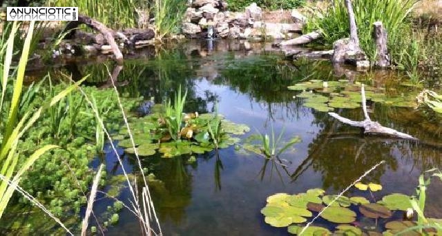 Construccion de piscinas y lagunas Naturales