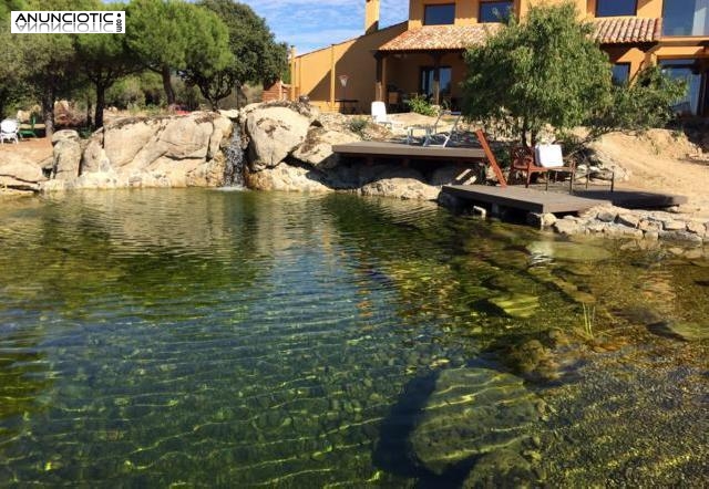 Construccion de piscinas naturales en Madrid