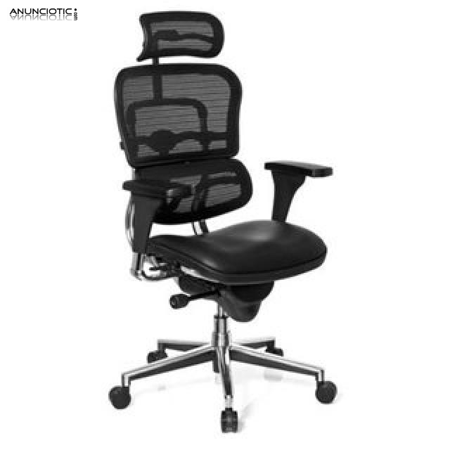 Silla ergoplus base regulable asiento