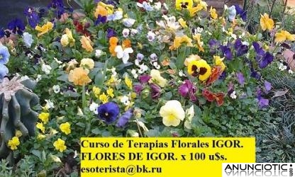 CURSO DE TERAPIAS FLORALES (Flores de Igor), (Con técnicas esotéricas, en 40 lecciones).  