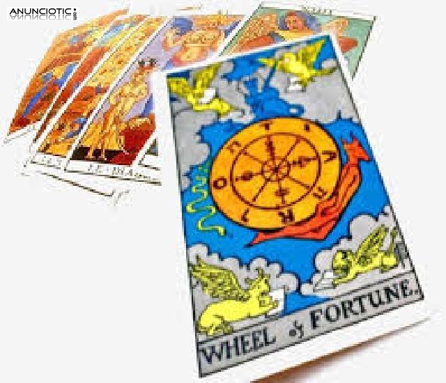 Tarot Serio Y Profesional