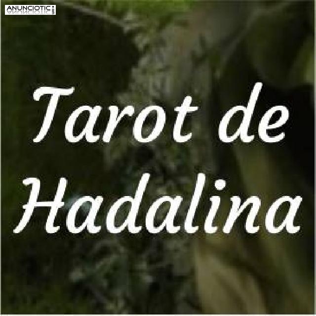 VIDENCIA,TAROT,MAGIA BLANCA Y ANGELINA CON HADA LINA