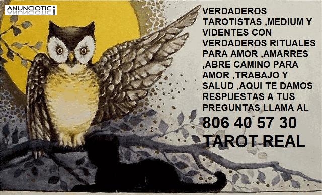 TAROT REAL 