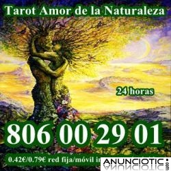 tarot 0,42 min astral barato 806 002 901