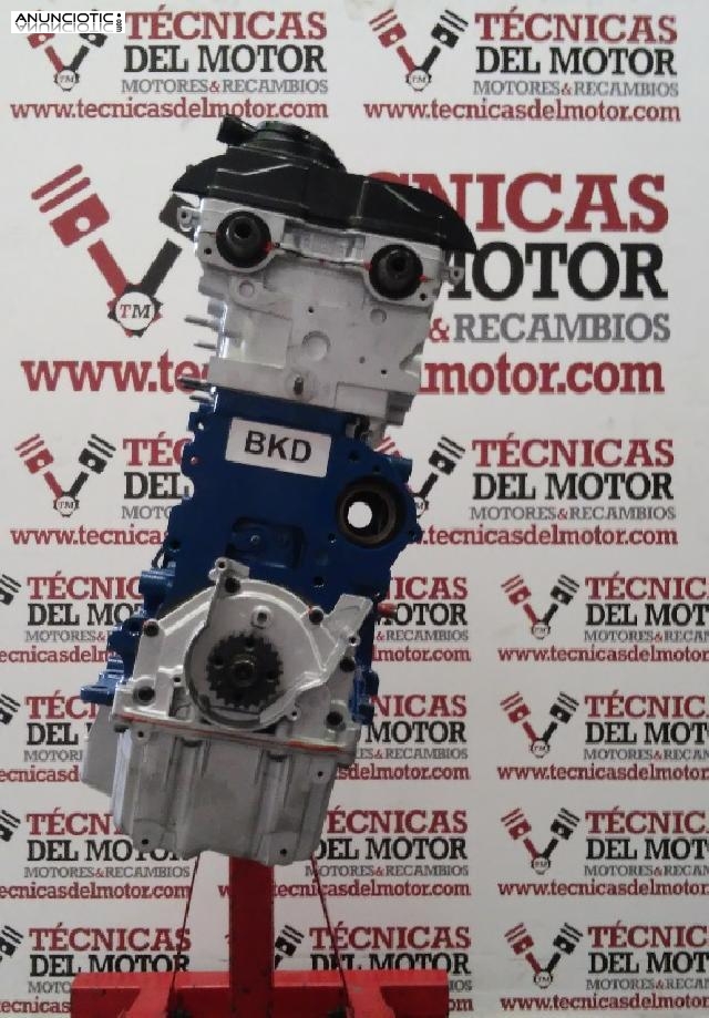 Motor vag 2.0 tdi tipo bkd