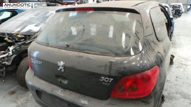 132261 tapa peugeot 307 2000