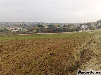 FINCA 17.000m2 a 50KM MADRID PEGADA a URBANIZACION por 38.000 Euros