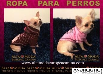 Ropa para Perros, Vestir a tu perro