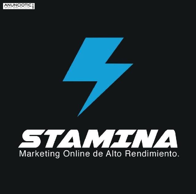 diseño web profesional