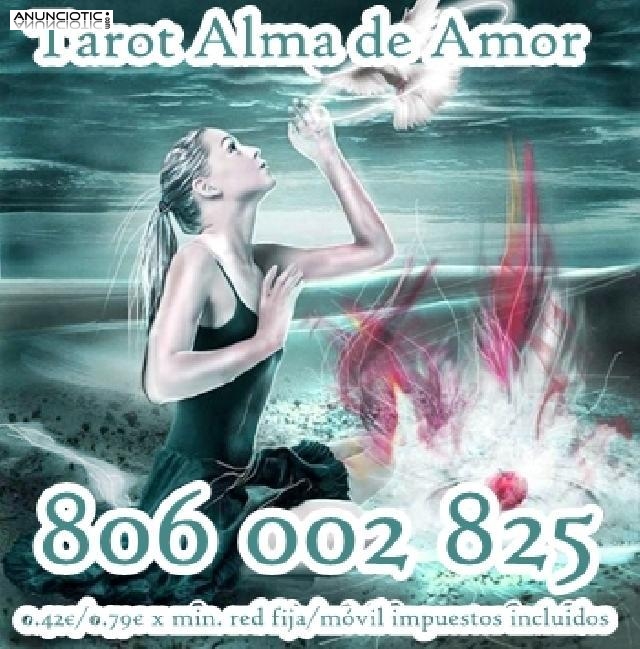 tarot alta videncia economico 806 002 825