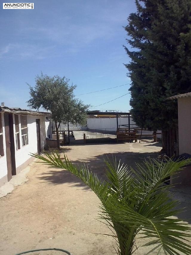 Finca y casa perfectamente amueblada en malaga