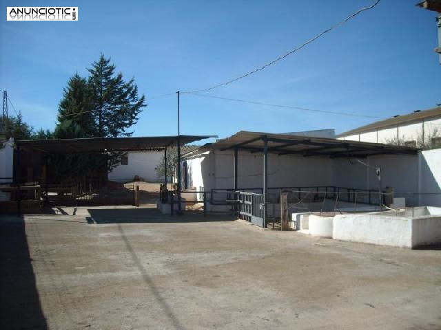 Finca y vivienda a 100 mt de campillos malaga