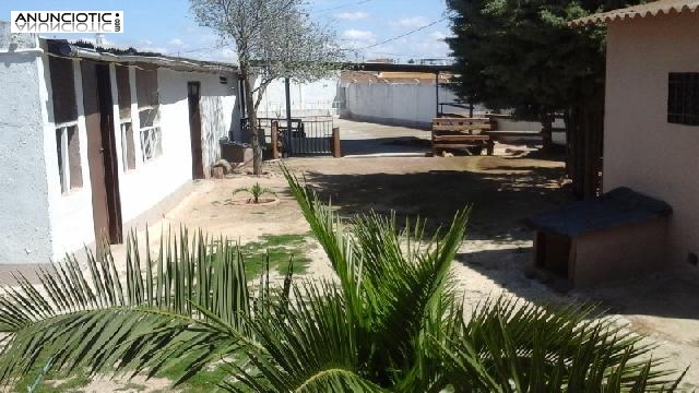 Finca con chalet en campillos - malaga