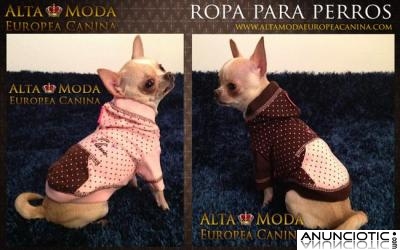 Ropa para Perros, Ropa para Chihuahuas