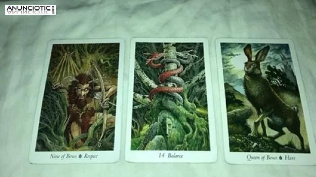 Horóscopo Semanal Capricornio Orden Y Metas, Tarot Amor Completo