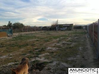 Terreno en Molina de Segura (Murcia) de 1.720 m²