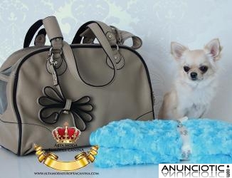 Bolsos de Lujo para Perros Chihuahua