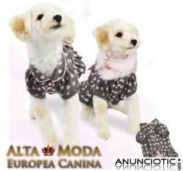 Abrigos perros, jerseys perros, ropa para perros con descuento