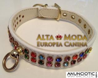 Collares para Perros, Collares y Correas para Perros