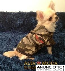 Ropa para Perros en Oferta, Outlet ropa perros