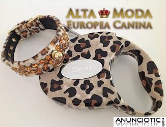 accesorios caninos, articulos para perros, moda canina