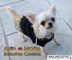 accesorios caninos, articulos para perros, moda canina