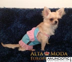 Ropa para Perros. Outlet de Ropa para Perros 2x1