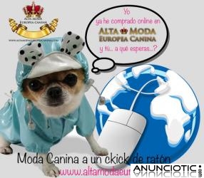 Comprar Moda Canina Online