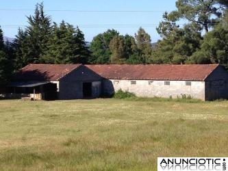 Finca edificable de 19.000m2, comunicada autovia Ourense