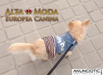 Collares y Correas para Perros