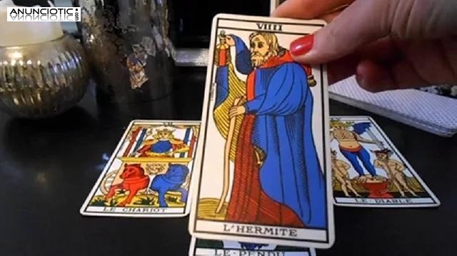 Soñar Con Animales, Tarot Amor Futuro Inmediato