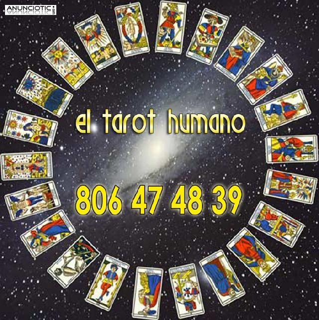 Tarot telefónico pero humano con un 99% de aciertos