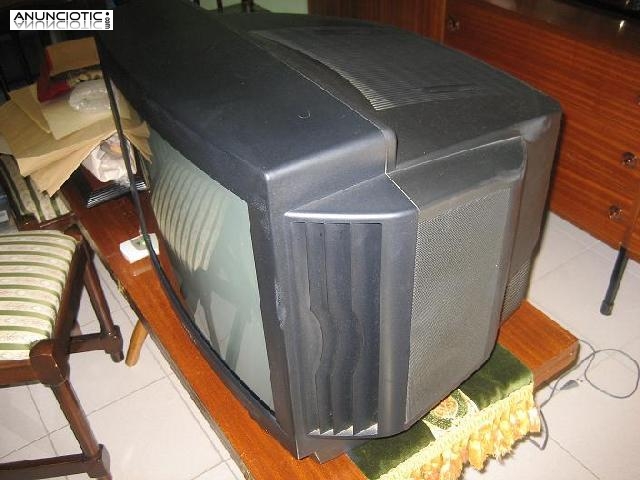 Televisor sony trinitron 21 pulgadas