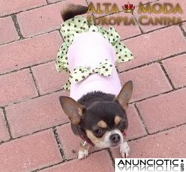 Vestidos para Perritas. Ropa Perros para Eventos sociales