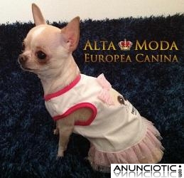 Vestidos para Perritas. Ropa Perros para Eventos sociales