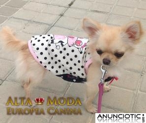 Camisetas para Perros, ropita verano perros