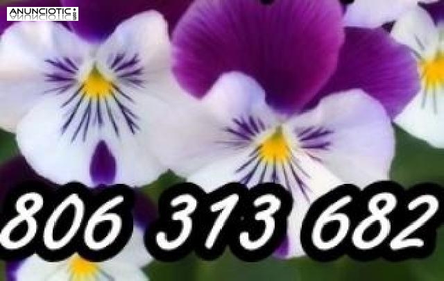 Tarot muy económico.: 806 313 682 . Videncia Merche ferrán