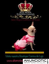 Comprar Ropa para Perros Online