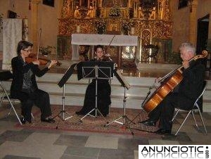 Música para ceremonias de Boda y coktels en Sevilla 