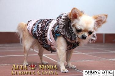 Ropa para Perros PequeÃ±os, Temporada OtoÃ±o